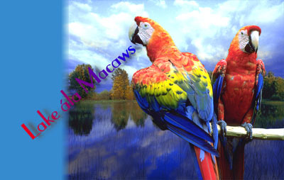 Lake ála Macaws