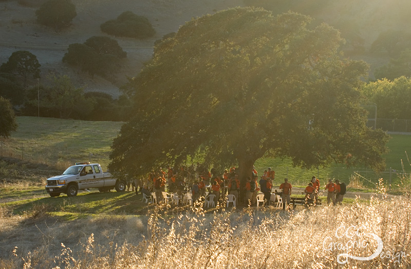Search & Rescue Search & Rescue